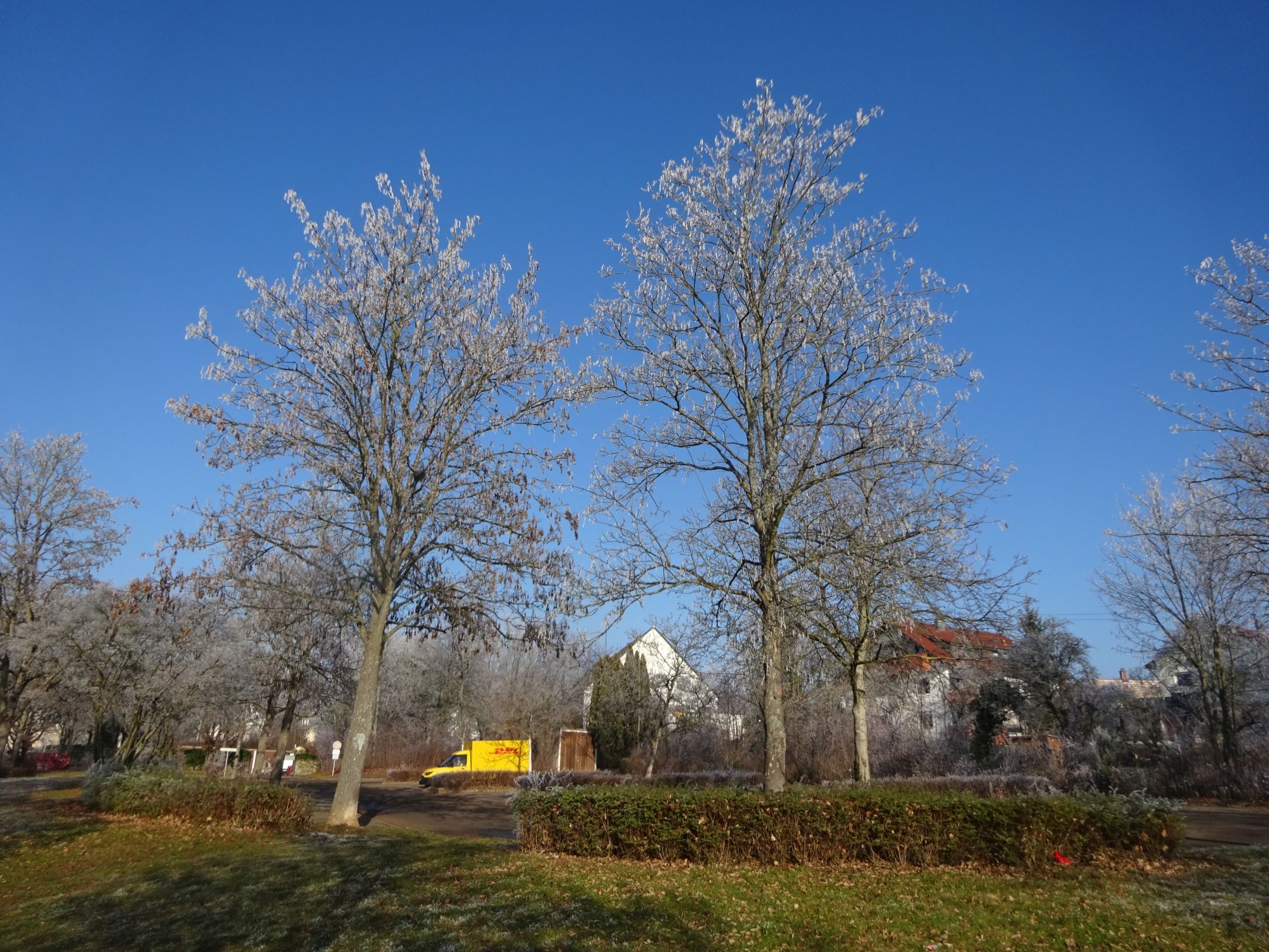 X_Naturtag/Naturtag_18.jpg