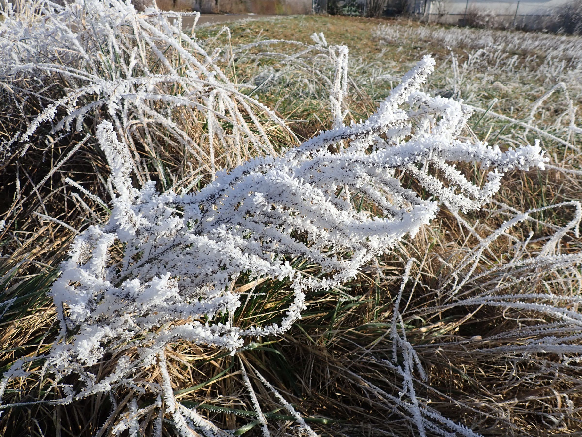 X_Naturtag/Naturtag_30.jpg